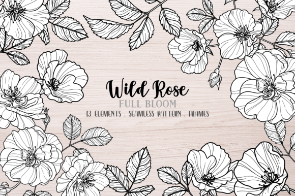 Download Vector Wild Rose Clipart, Black Line - Line Collection